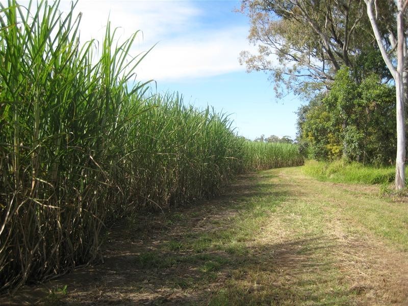 South Kolan QLD 4670