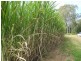 South Kolan QLD 4670