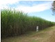 South Kolan QLD 4670
