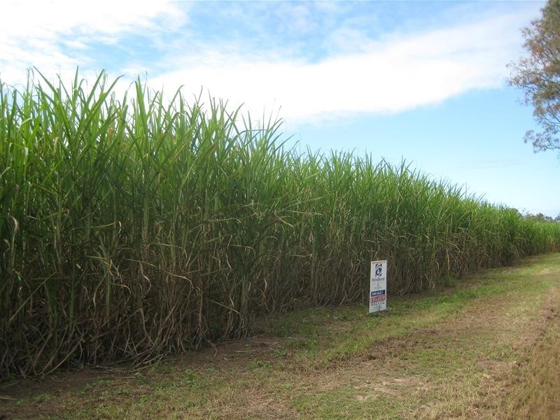 South Kolan QLD 4670
