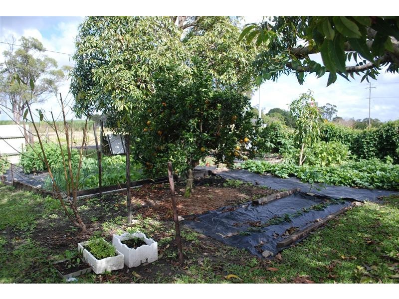 South Kolan QLD 4670