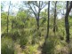 Lot 24/ Lindy Drive, Rules Beach QLD 4674