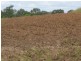 Avondale QLD 4670