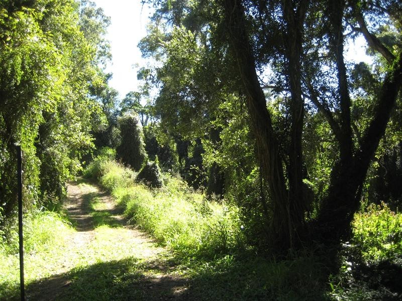 Avondale QLD 4670