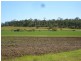 Avondale QLD 4670