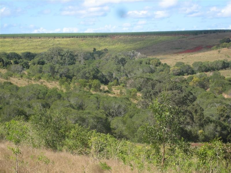 Isis Central QLD 4660