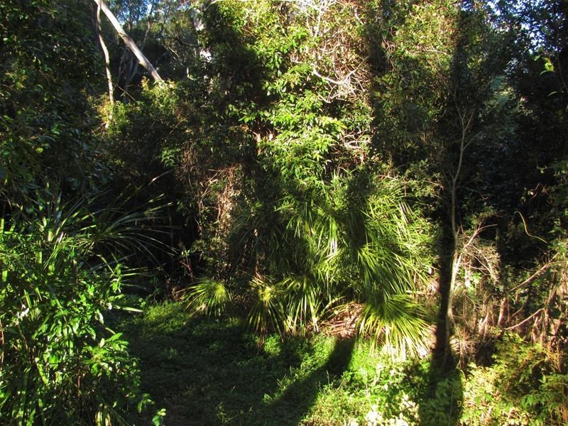 Yandaran QLD 4673