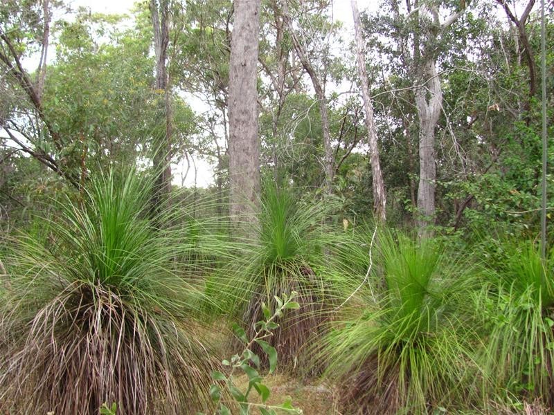 Deepwater QLD 4674
