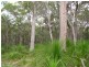 Deepwater QLD 4674