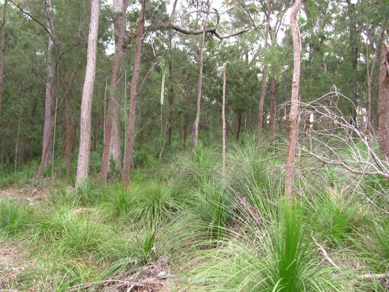 Deepwater QLD 4674