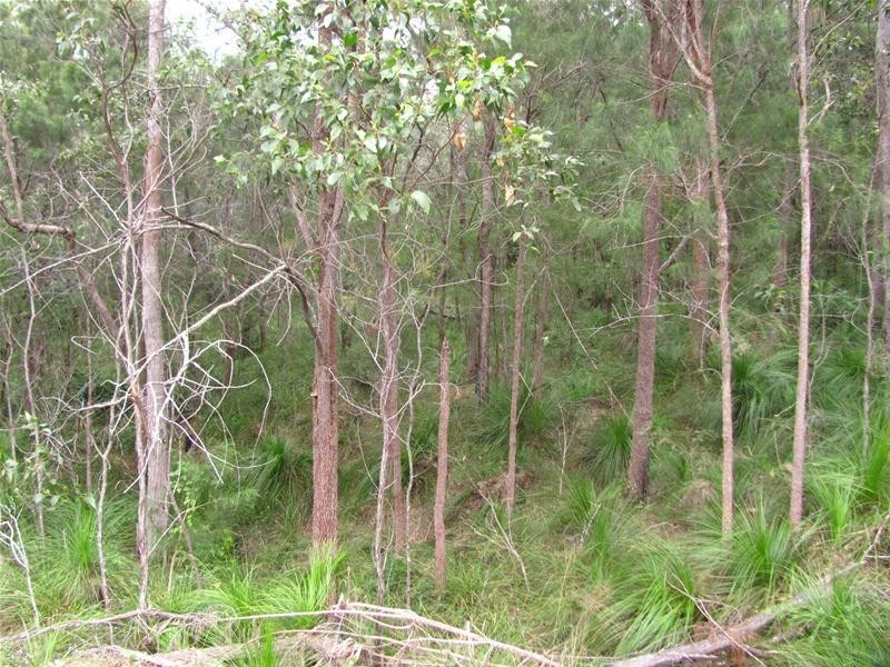 Deepwater QLD 4674