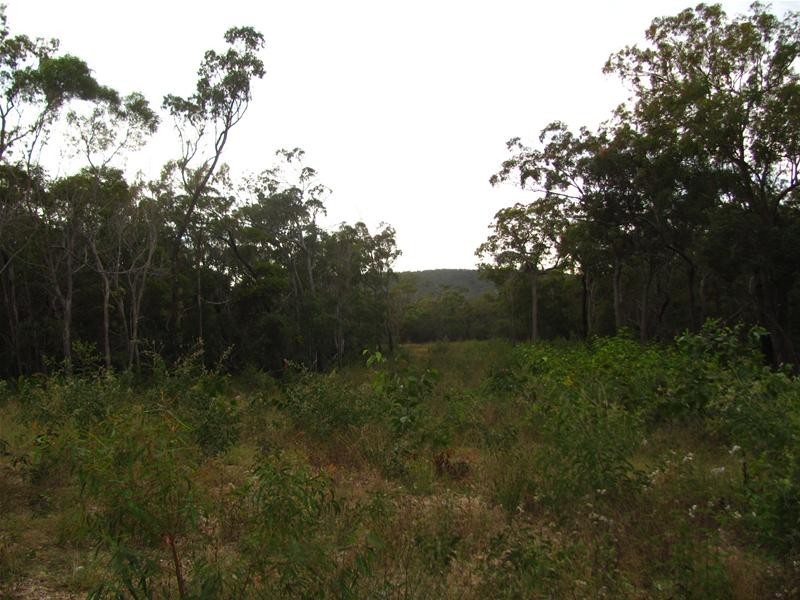 Deepwater QLD 4674