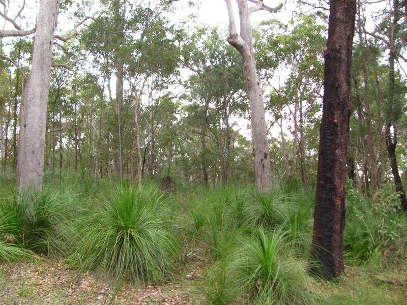 Deepwater QLD 4674