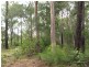 Deepwater QLD 4674
