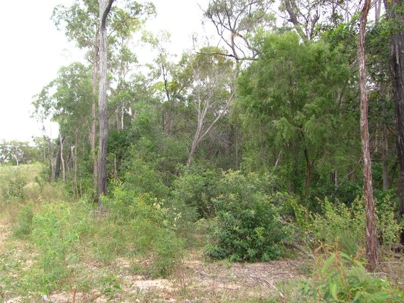 Deepwater QLD 4674