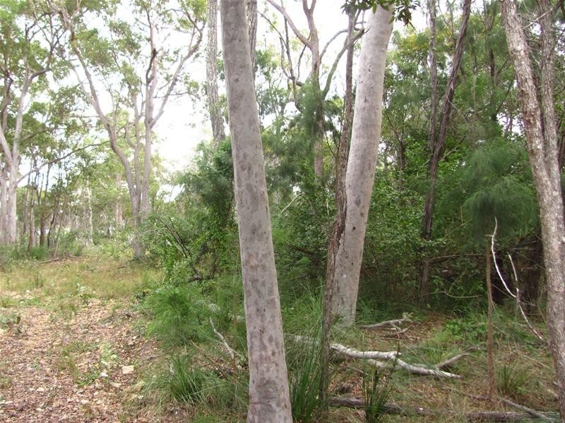 Deepwater QLD 4674