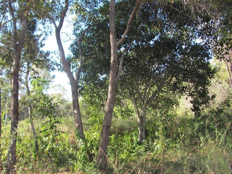 1143 Tableland Road, Mount Maria QLD 4674