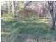 1143 Tableland Road, Mount Maria QLD 4674