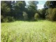 Avondale QLD 4670
