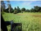 Avondale QLD 4670