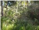 4044 Lowmead Road, Lowmead QLD 4676