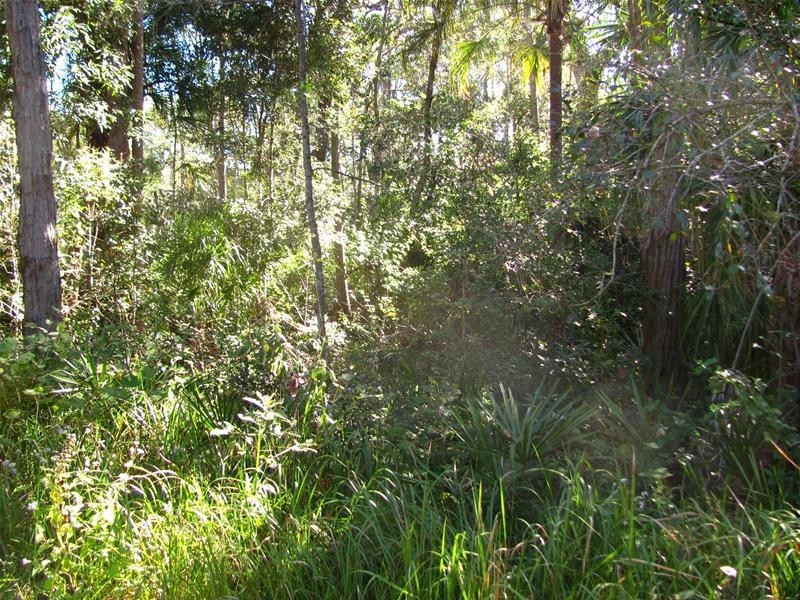 4044 Lowmead Road, Lowmead QLD 4676