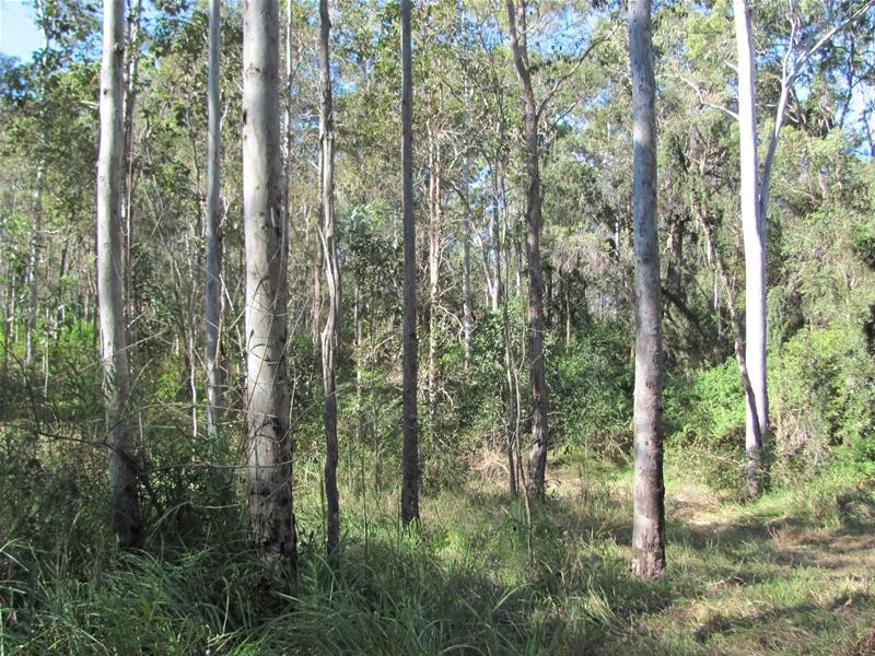 Berajondo QLD 4674