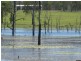 Wallaville QLD 4671