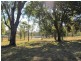 Baffle Creek QLD 4674