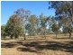 Baffle Creek QLD 4674