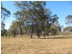 Baffle Creek QLD 4674