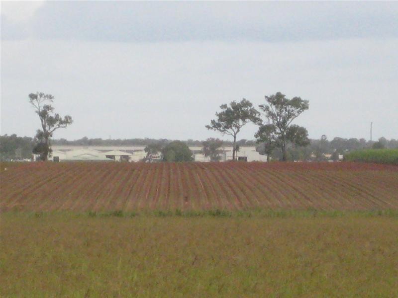 Oakwood QLD 4670