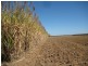 Alloway QLD 4670