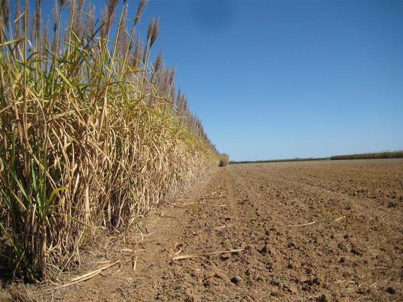 Alloway QLD 4670