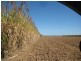 Alloway QLD 4670