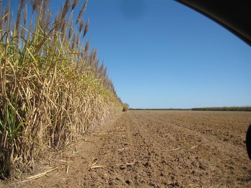 Alloway QLD 4670