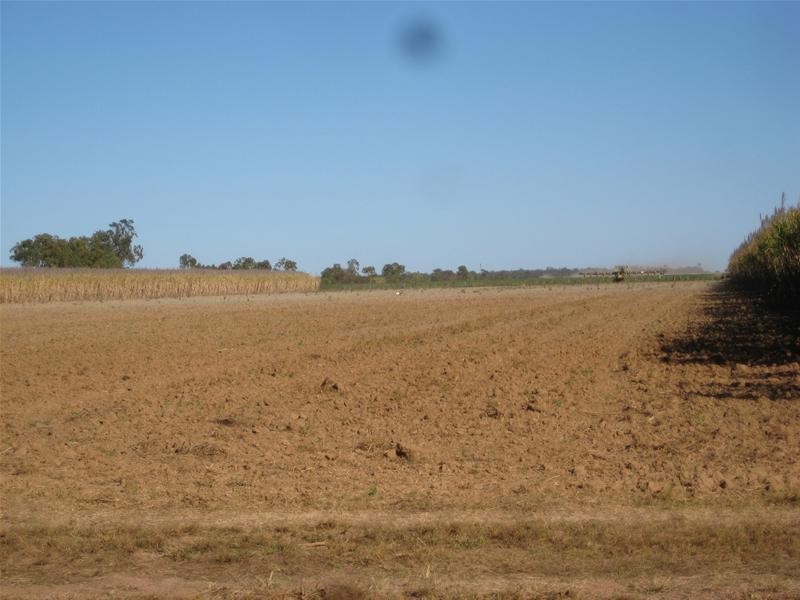 Alloway QLD 4670