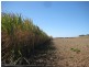 Alloway QLD 4670