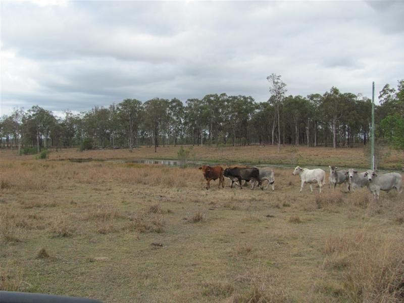 Rosedale QLD 4674