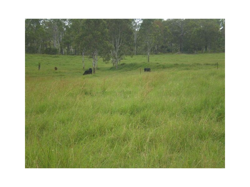 89 Mollenhagens Road, Rosedale QLD 4674