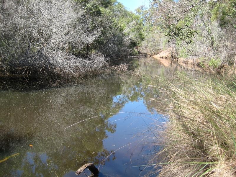 Avondale QLD 4670