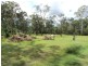 Deepwater QLD 4674