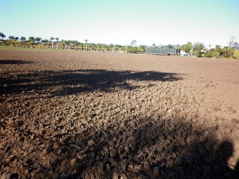 Moore Park Beach QLD 4670