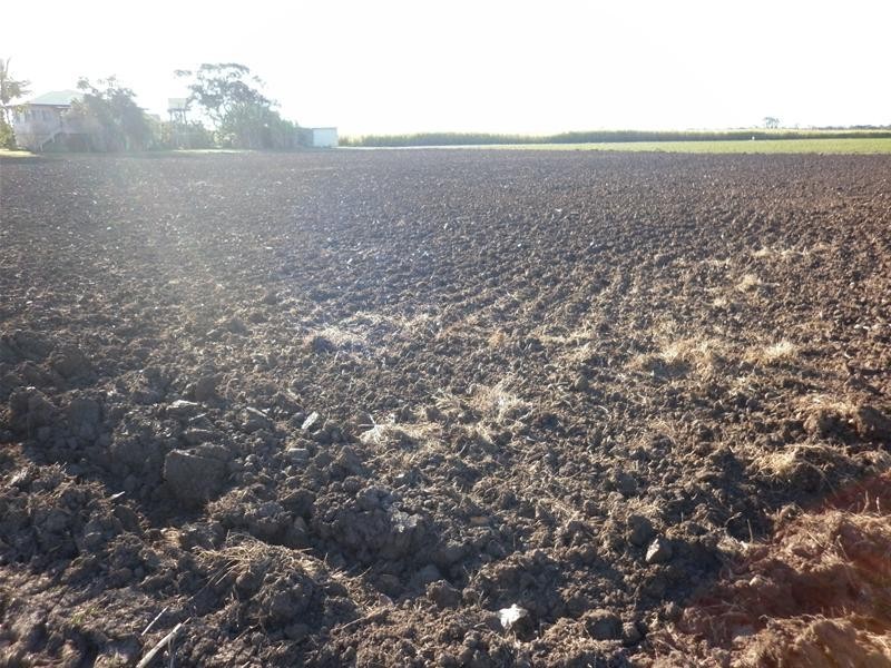 Moore Park Beach QLD 4670