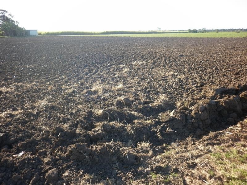 Moore Park Beach QLD 4670