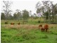 157 Frewens Road, Rosedale QLD 4674