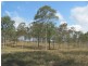 157 Frewens Road, Rosedale QLD 4674