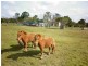 Moorland QLD 4670