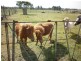 Moorland QLD 4670