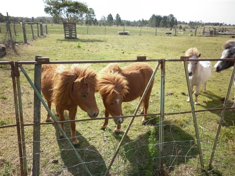 Moorland QLD 4670